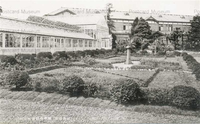 tfb445-Tokyo Horticultural School 東京府立園芸学校 世田谷 温室　